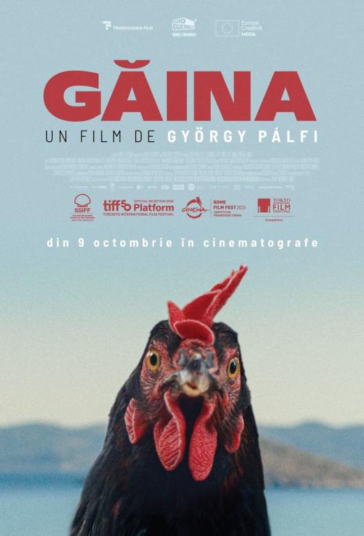 Găina