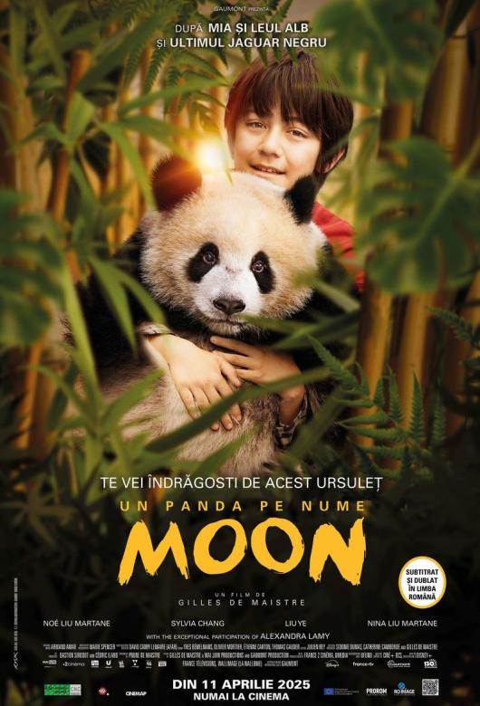 Un panda pe nume Moon